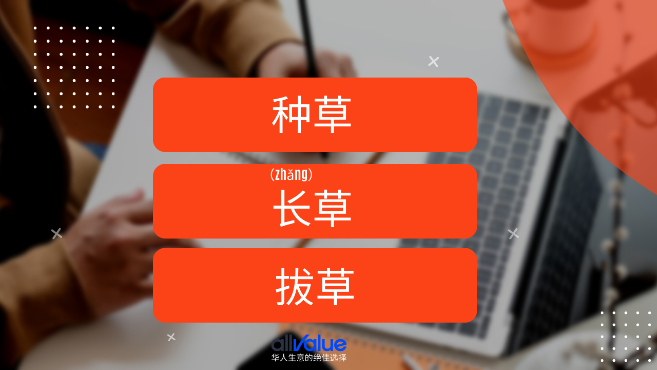 內(nèi)容與商業(yè)相遇：小紅書，2023海外華人商家一定要抓住的商業(yè)風(fēng)向