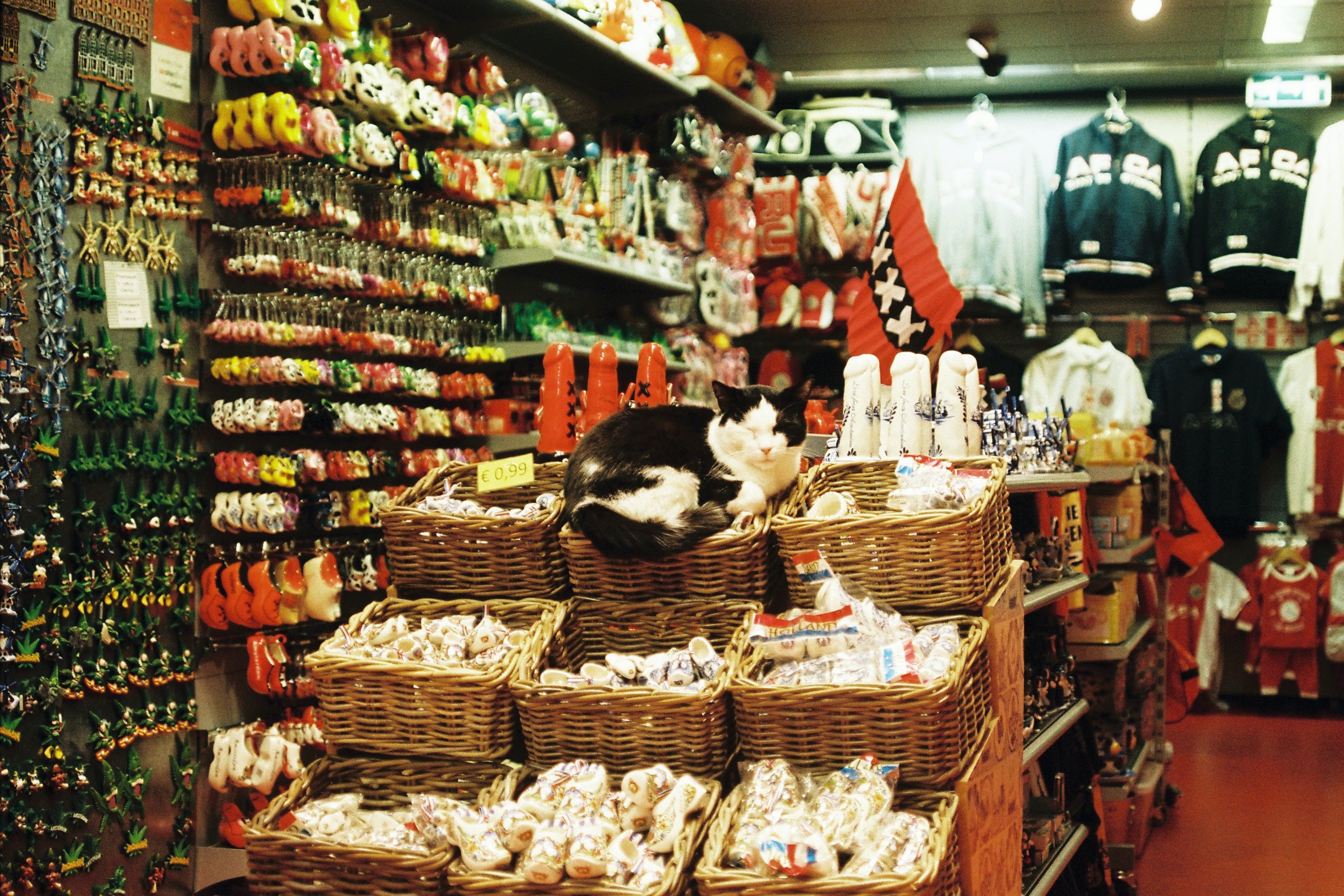 如何在海外開設(shè)一家成功的寵物用品店？